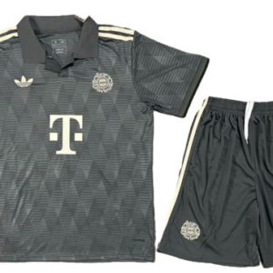 Especial Conjunto De Hombre Bayern Múnich 2024 2025 Gris